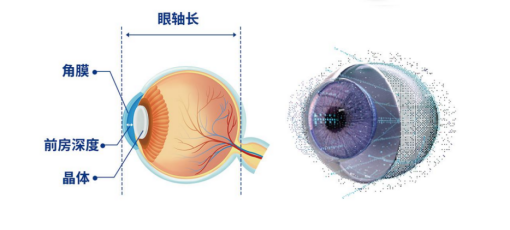 2026 高考军警摘镜必读:视力门槛+手术倒计时