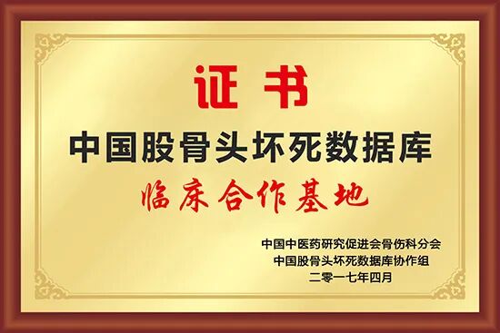 「数据赋能骨伤专科·医数融合创新发展」——中国股骨头坏死数据库(河南分中心)科研合作座谈会在我院顺利举行