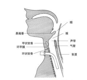 医生,我们脖子上的气管套管啥时候才能去掉啊?