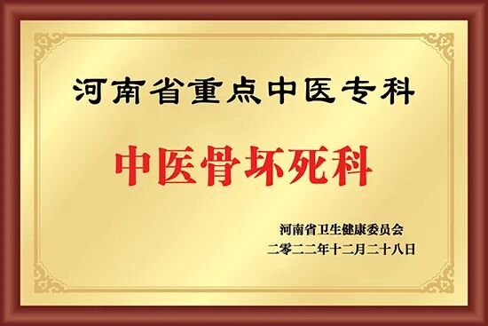 「数据赋能骨伤专科·医数融合创新发展」——中国股骨头坏死数据库(河南分中心)科研合作座谈会在我院顺利举行