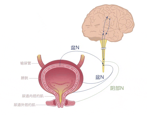 这 6 种不起眼的小「毛病」,可能是疾病信号!别不当回事!