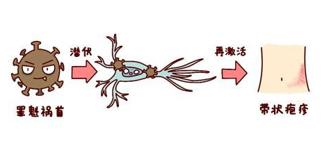 科学预防，健康同行——夏季常见传染病预防知识宣传