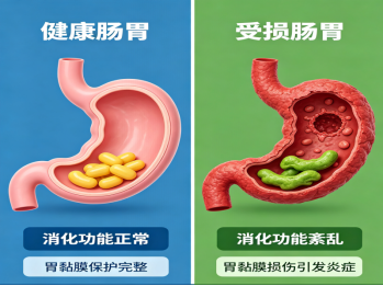 医语辟谣｜液断 7 天瘦十斤？拆穿它的三大谣言