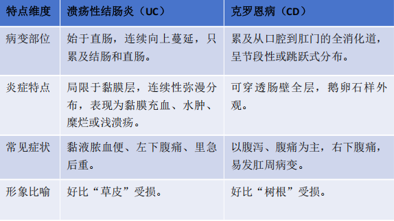炎症性肠病(IBD)患者的营养管理攻略| 内科系统常见慢病防治护理科普专栏④