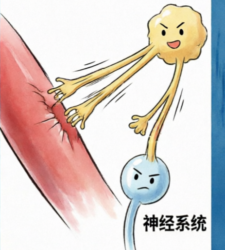 透析时血压像「过山车」？高低都有招，教您稳住它