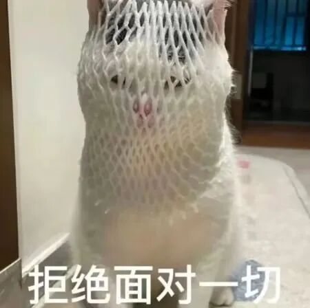 左肩高、右背鼓、裤腰歪...... 原来是脊柱长歪了!