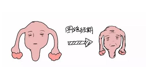 40+ 暴躁失眠,她一步步确认:原来是更年期来了