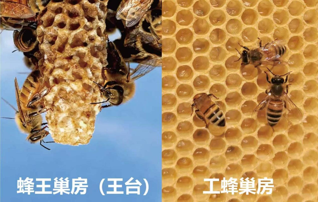 新闻图片2