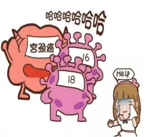 医语辟谣|HPV 阳性就是得了宫颈癌?