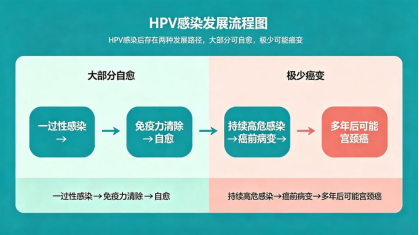医语辟谣|HPV 阳性就是得了宫颈癌?
