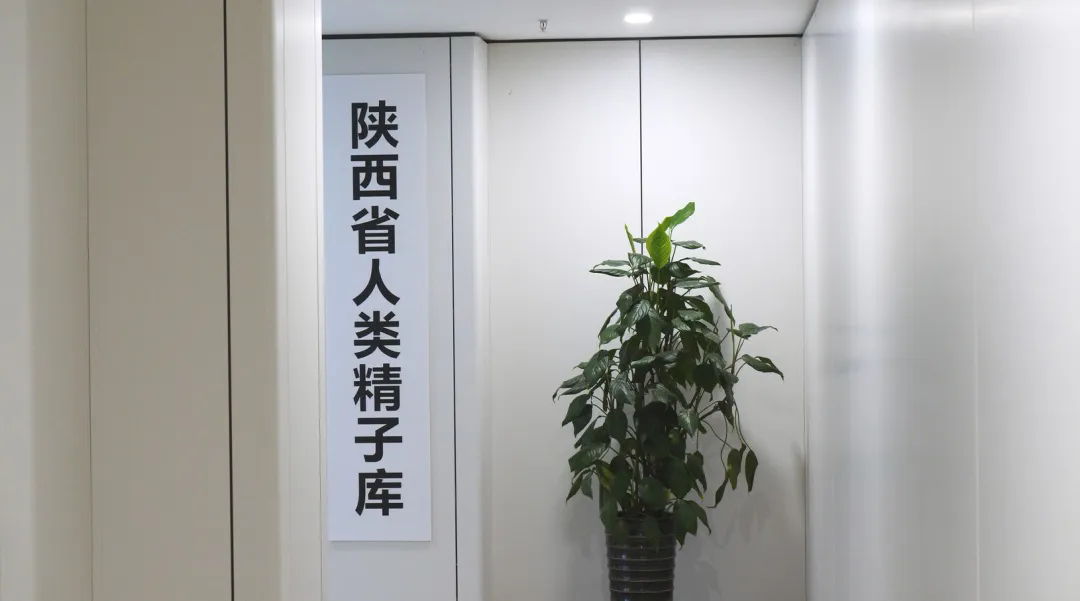 老公无精症,我却怀孕了