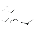 【世界传统医药日】传承岐黄薪火 共享健康生活，传统中医适宜技术的正确打开方式
