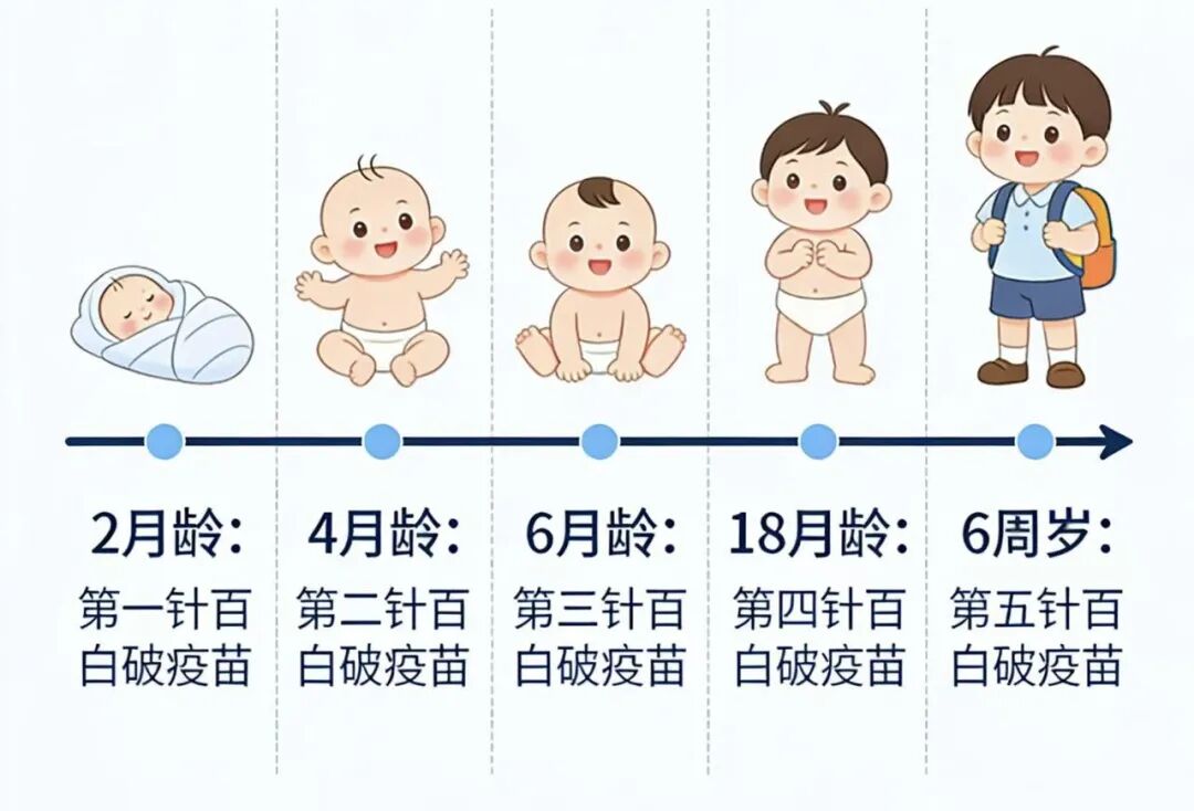 【奋进十五五 科技谱新篇】——西安市第三医院儿科走进校园开展百日咳科普活动