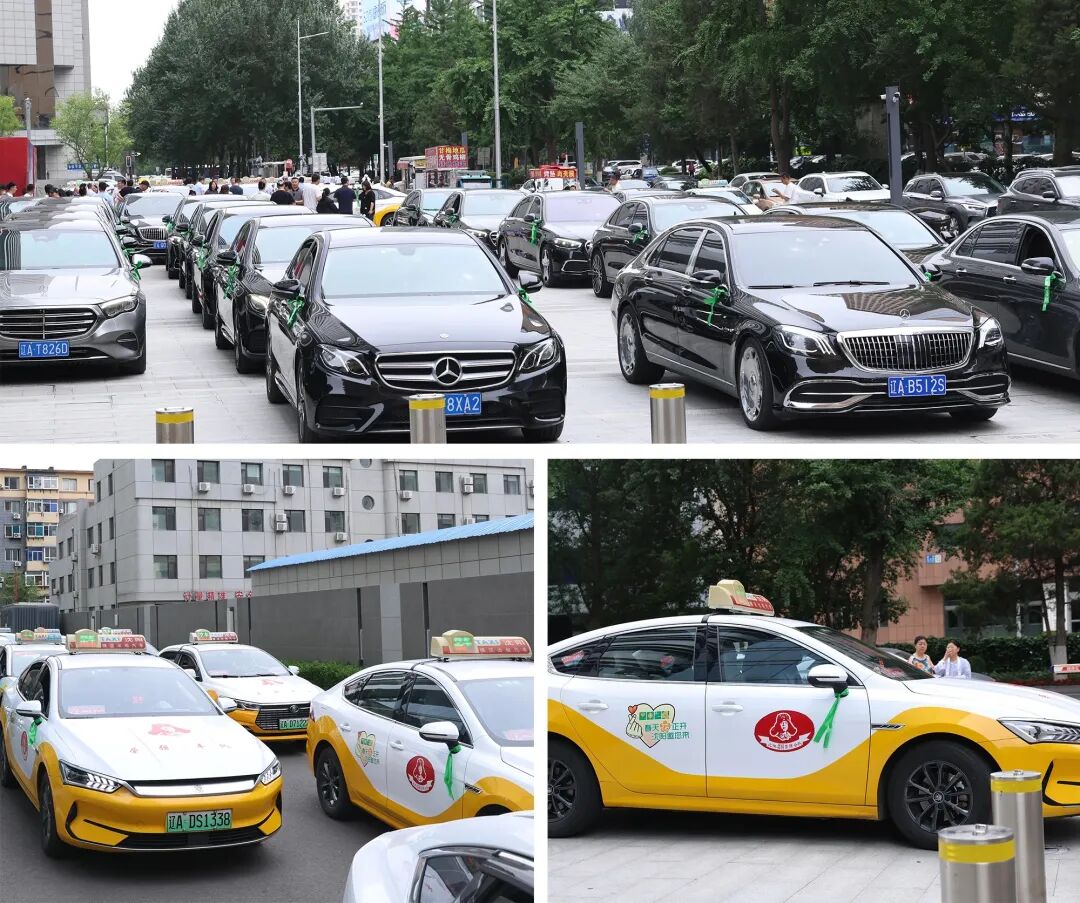 明眸策马追梦・青春强国有我|爱尔眼科辽宁省区全力护航 2026 学子高考圆梦