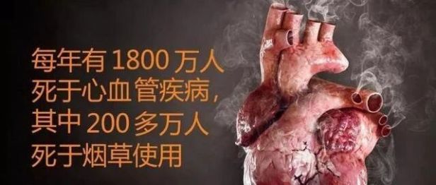 【协作组科普】不止肺癌！吸烟对心脏的伤害，远比想象的可怕