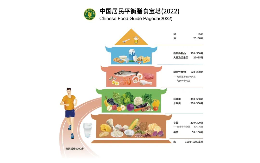 【医路有知】「心」事重重:心血管的「高速公路」养护手册