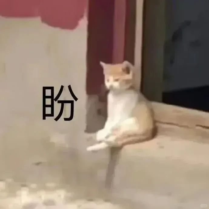 脐带多久脱落才算正常?正确护理步骤全教你
