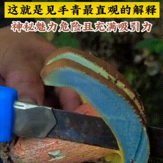 近期大量上市!这口「鲜」吃不对,可中毒甚至要命
