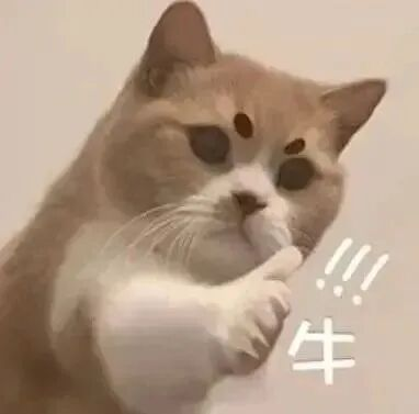 巴掌大、透明皮肤、一瓶水的重量……这些「迷你宝宝」如何闯过生命第一关?