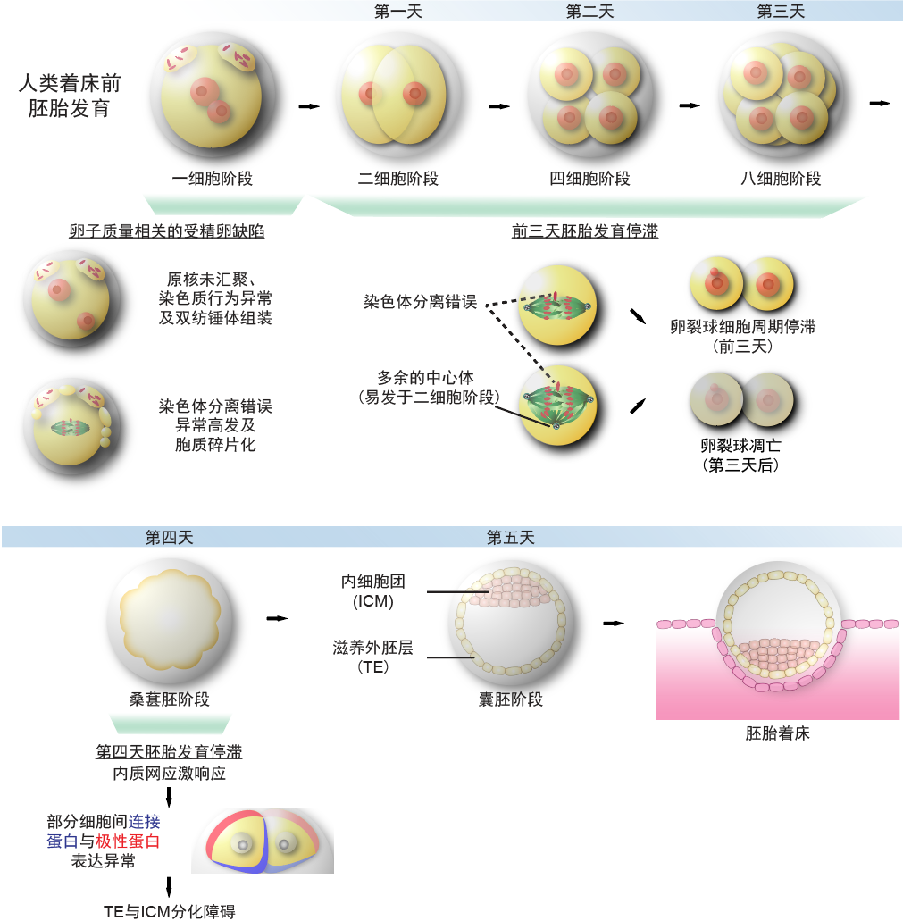 新闻图片2
