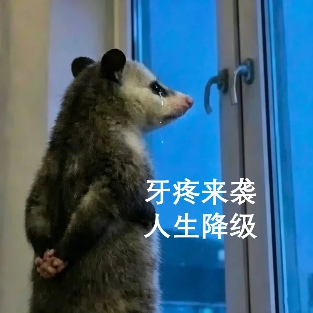 牙痛不是病?有些牙痛,真能要命!