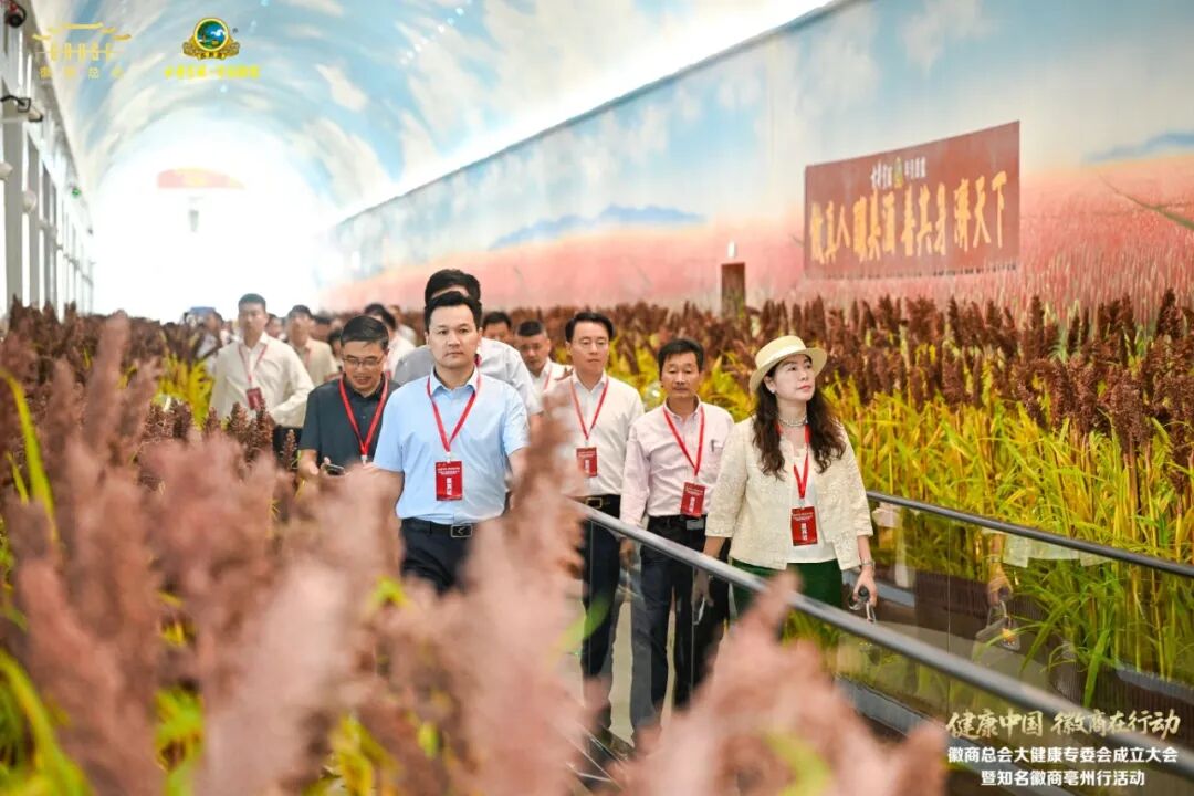 聚力徽商大健康 共启产业新征程 | 金永贵董事长受聘担任徽商总会大健康专委会副主任委员