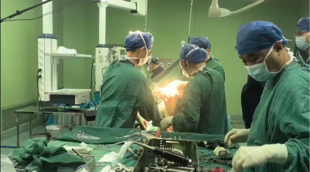第八届河洛骨科学术会议（一）暨洛阳医师协会骨科分会 2026 年年会在河科大二附院成功举办