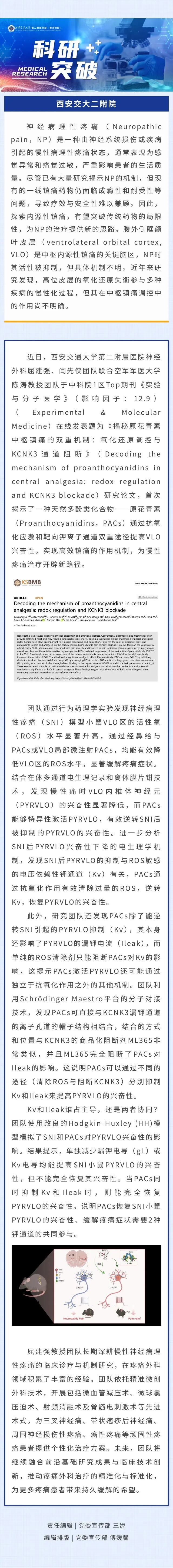科研突破 | 西安交大二附院屈建强、闫先侠团队揭秘原花青素中枢镇痛的双重机制
