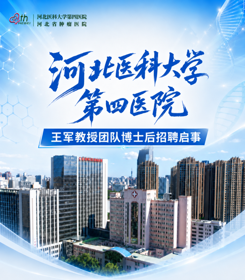 企业微信截图_17812462761197.png