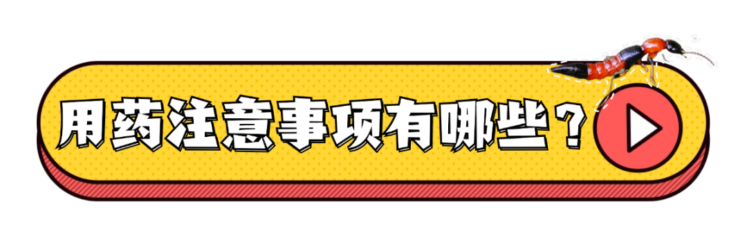 隐翅虫又来了!有人脸上破溃,有人皮肤化脓