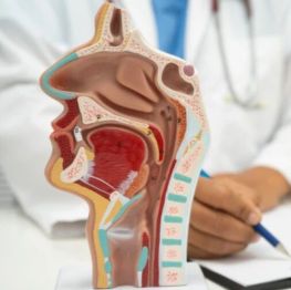 【健康科普】食管癌九成是「吃」出来的，这份护食管清单请收好
