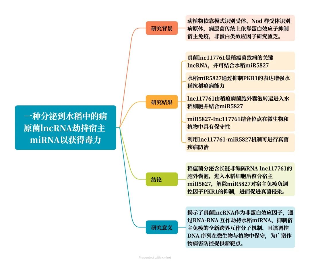 新闻图片9