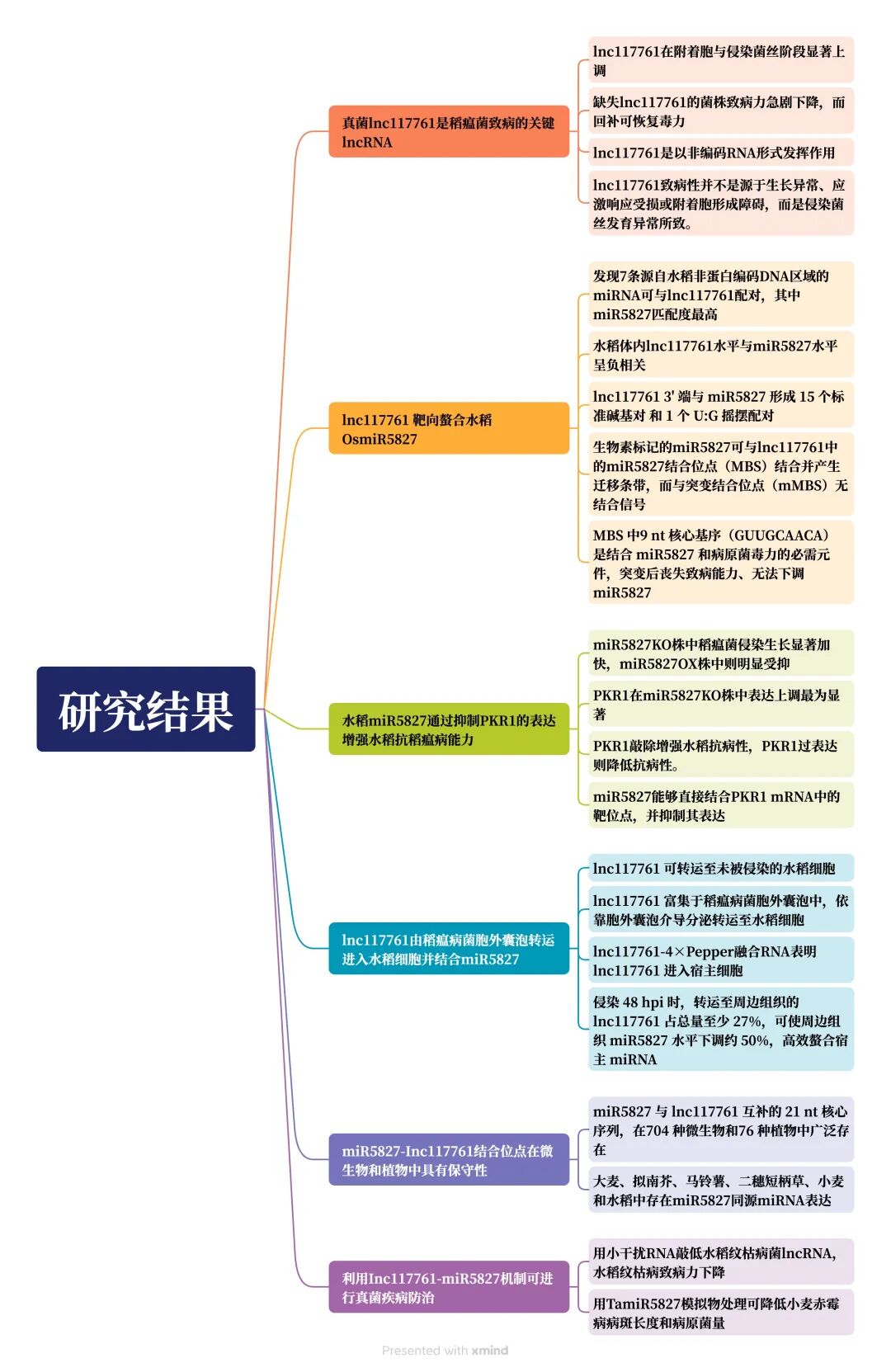 新闻图片11