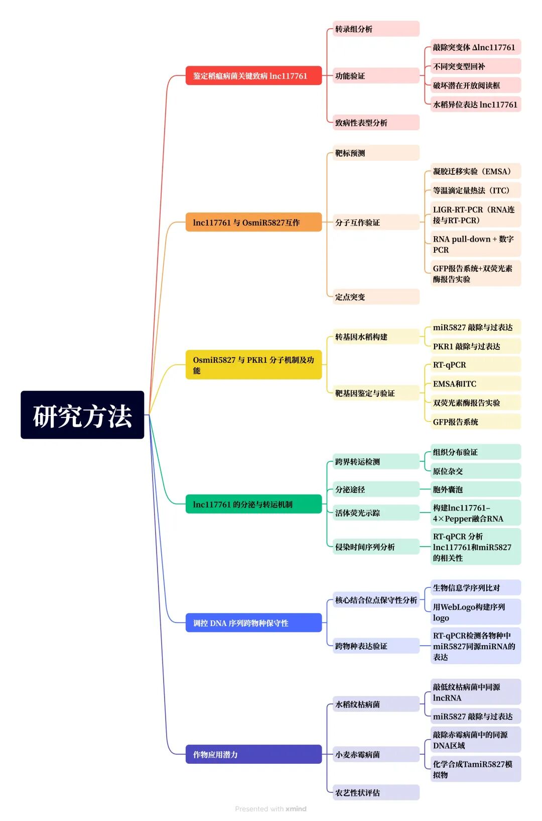 新闻图片10