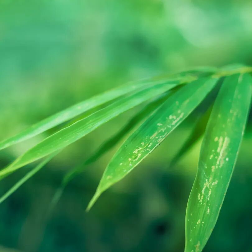 端午节：身在医院却好像「回了家」 ｜有温度的医疗服务
