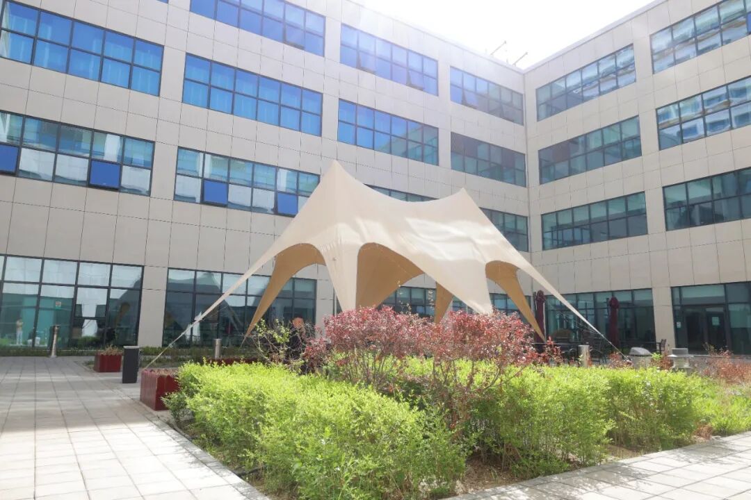 【优质服务】从小庭院到大花园:石河子市人民医院打造花园式医院
