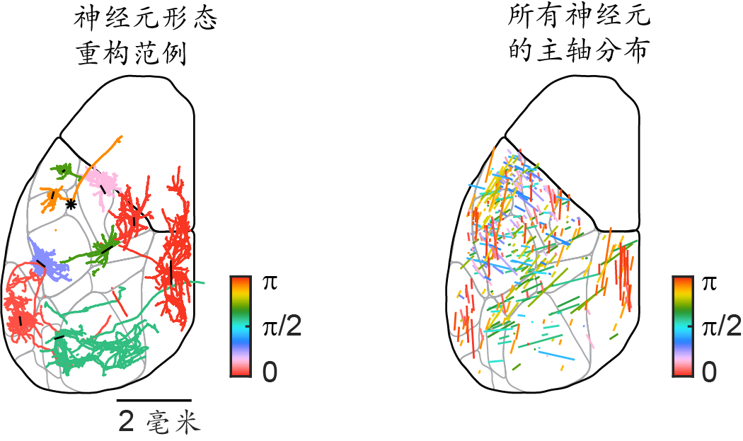 新闻图片3