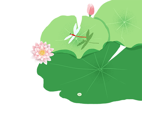 【端午节特辑③】暖心守护·情暖端午——新城院区心血管内科端午节暖心活动
