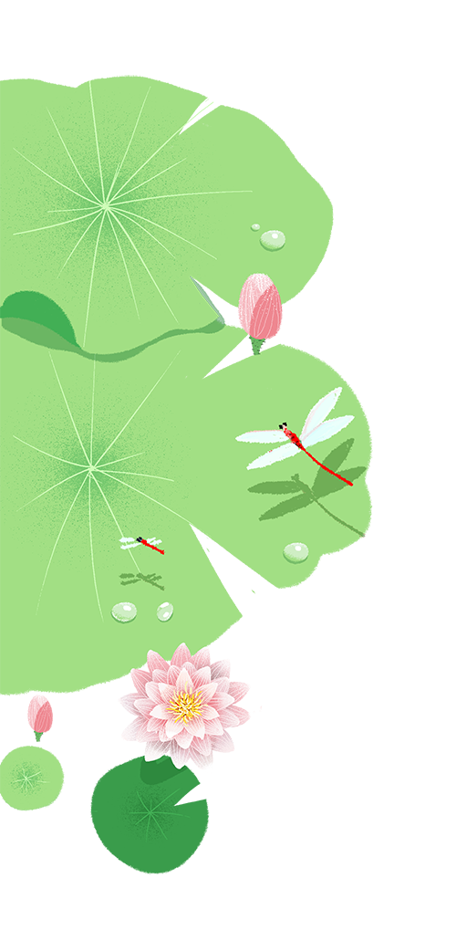 【端午节特辑③】暖心守护·情暖端午——新城院区心血管内科端午节暖心活动