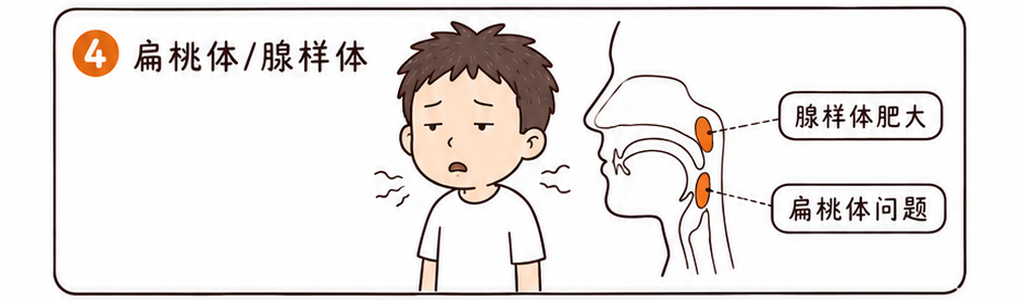 为啥以前的孩子很少嘴凸、牙不齐,现在却一抓一大把?