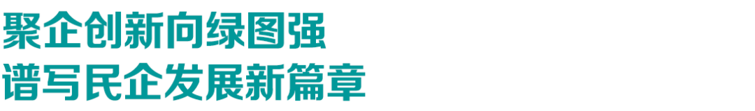 一脉阳光集团受邀出席 2026 全国民营企业绿色发展大会并参加海南省领导接见座谈会