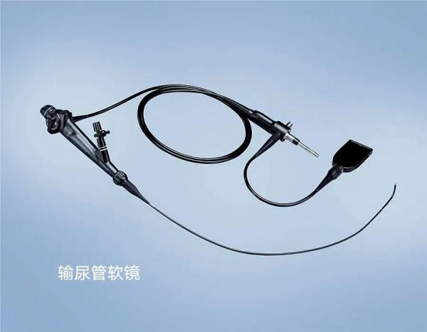 出生仅 56 天!正兴 MDT 巧借「他山之石」拿下全国首例