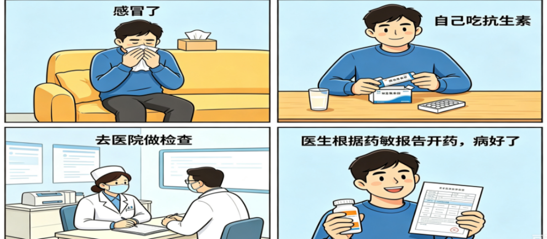 看懂药敏报告单,告别盲目吃药,精准对抗感染