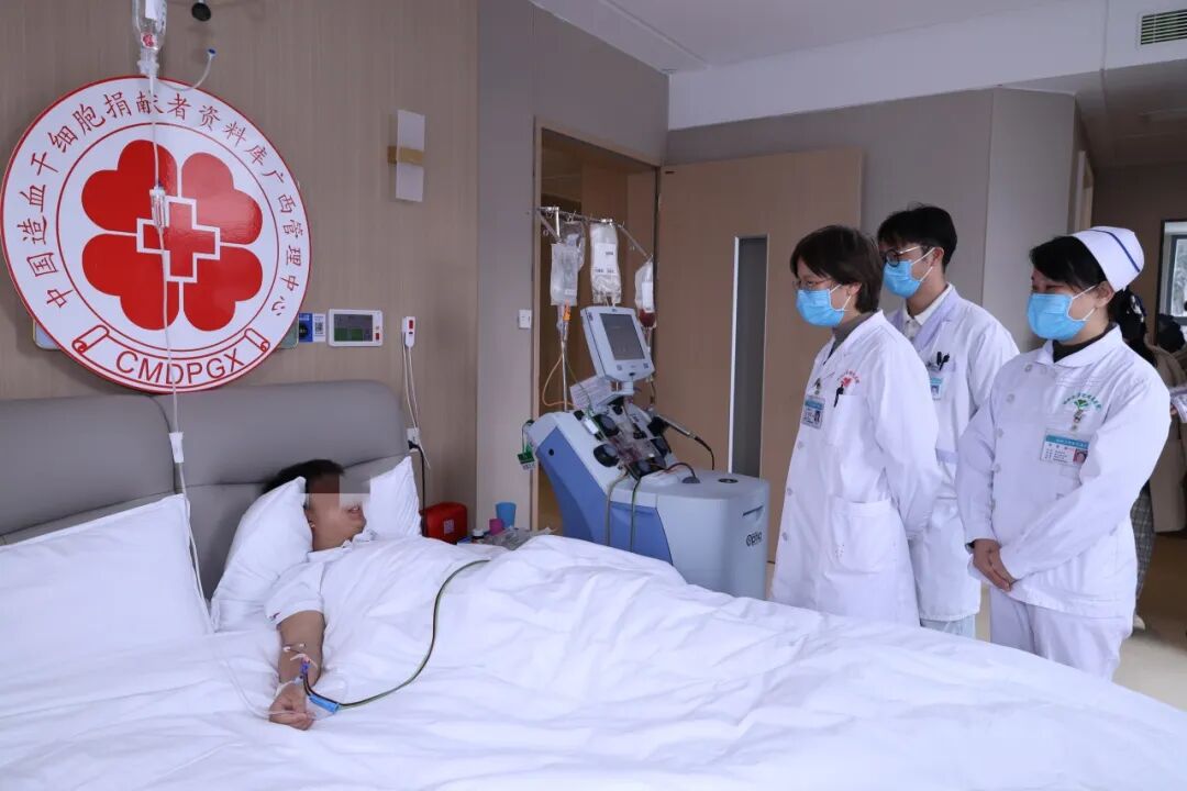【百佳服务之星】王晓桃:仁心守初心 妙术护病患——血液内科的「定海神针」