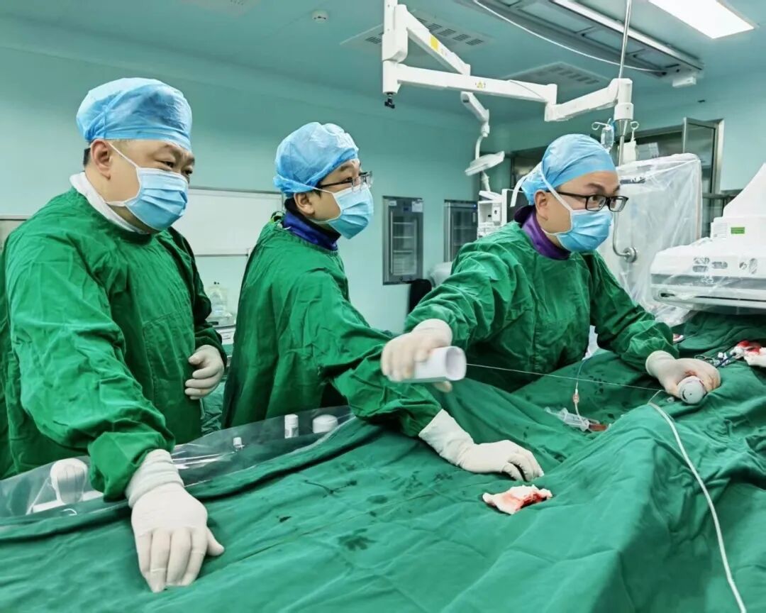 【医疗技术】毫厘之间重建“生命主线”:我院介入血管科成功实施Castor分支型主动脉覆膜支架植入术