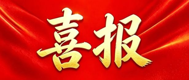 喜报！我院神经内科党支部荣获“省直机关先进基层党组织”称号