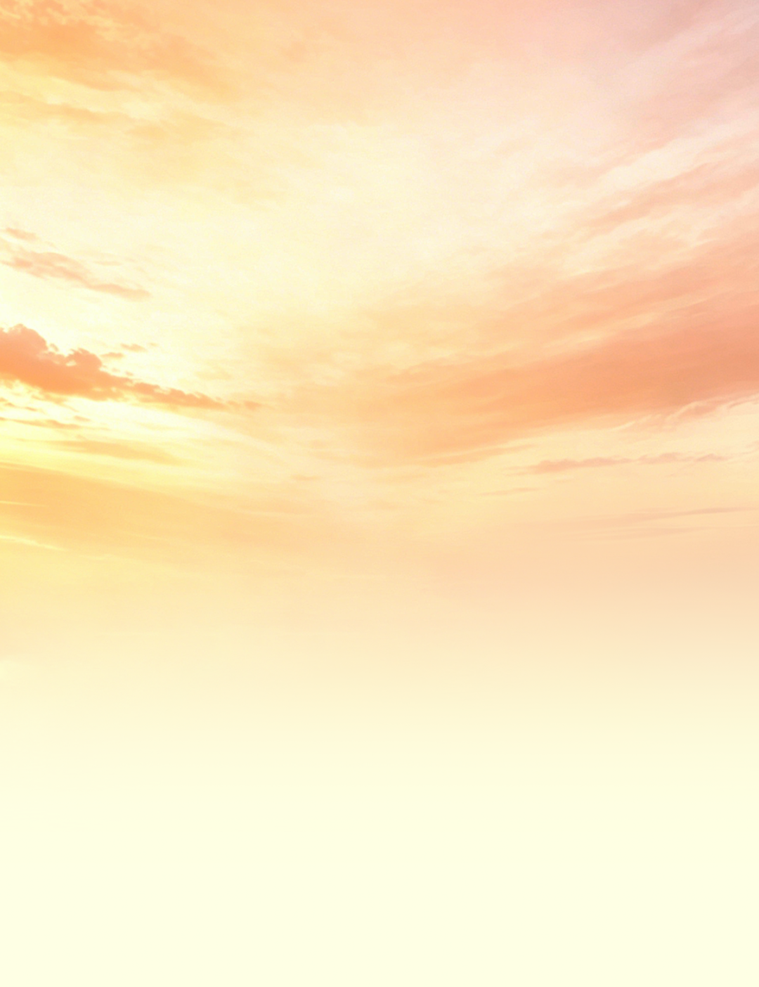 我院召开“两优一先”表彰会议