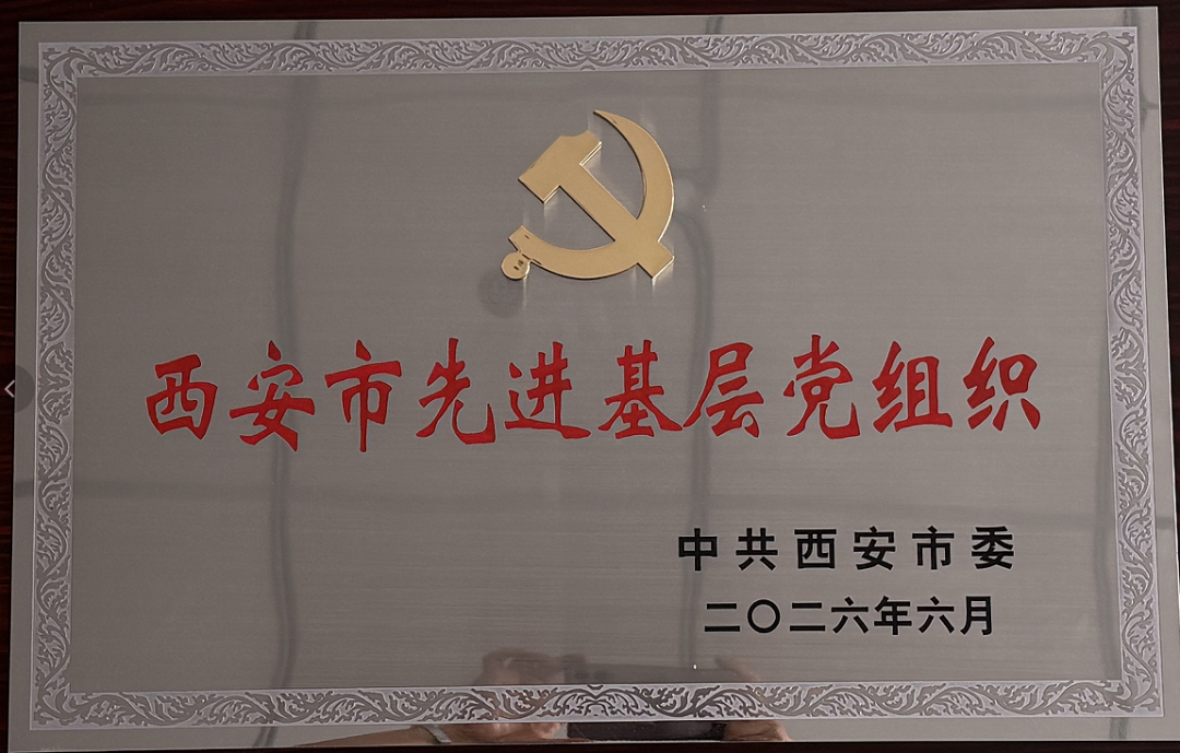 喜报!西安市第三医院临床第一党支部荣获“西安市先进基层党组织”称号