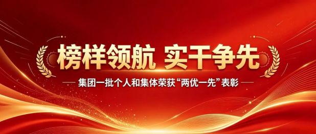 榜样领航 实干争先丨集团一批个人和集体荣获“两优一先”表彰
