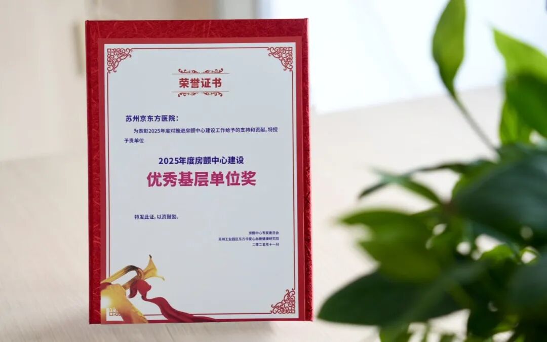 获评“先进基层党组织”!
